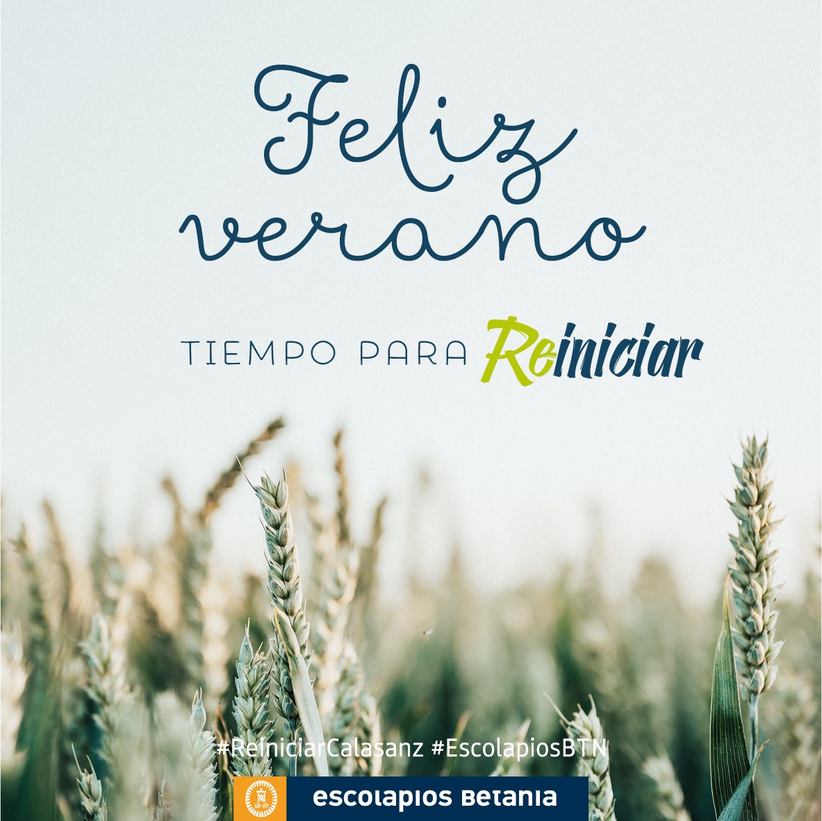 ¡Gracias y feliz verano!